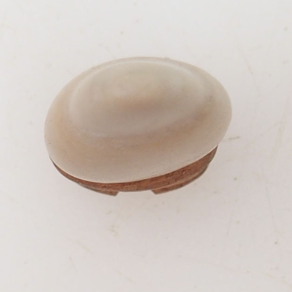 Suiseki - Pietra con DAI (base in legno)