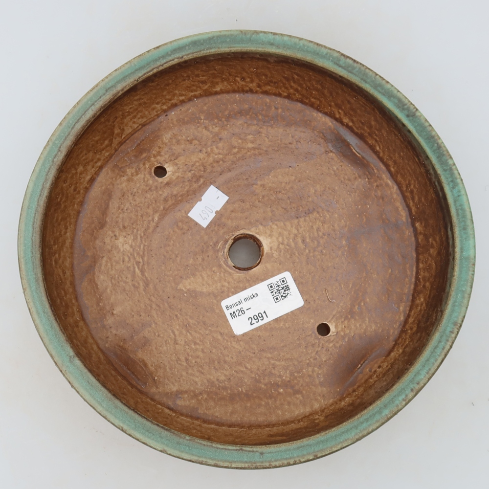Ciotola per bonsai in ceramica 21,5 x 21,5 x 6 cm, verde