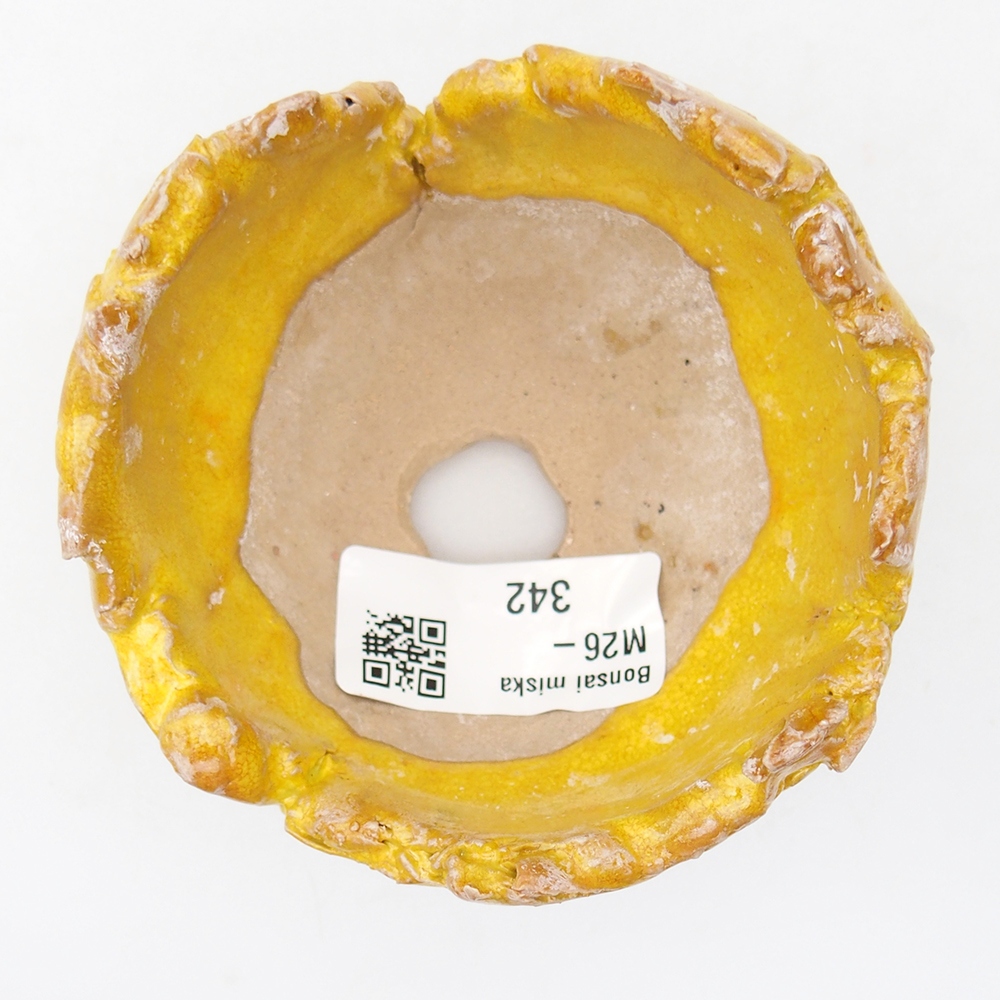 Conchiglia in ceramica 8,5 x 8,5 x 6 cm , giallo