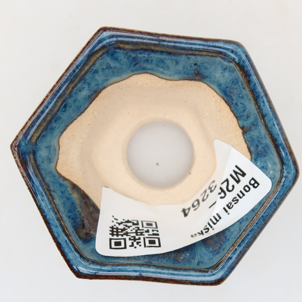 Vaso in ceramica per bonsai 5,5 x 5 x 3 cm, colore blu