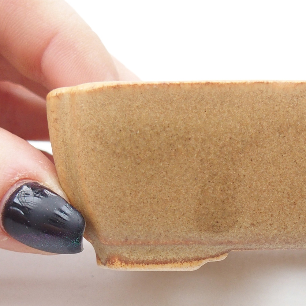 Mini bonsai 8,5 x 7,5 x 3 cm, marrone