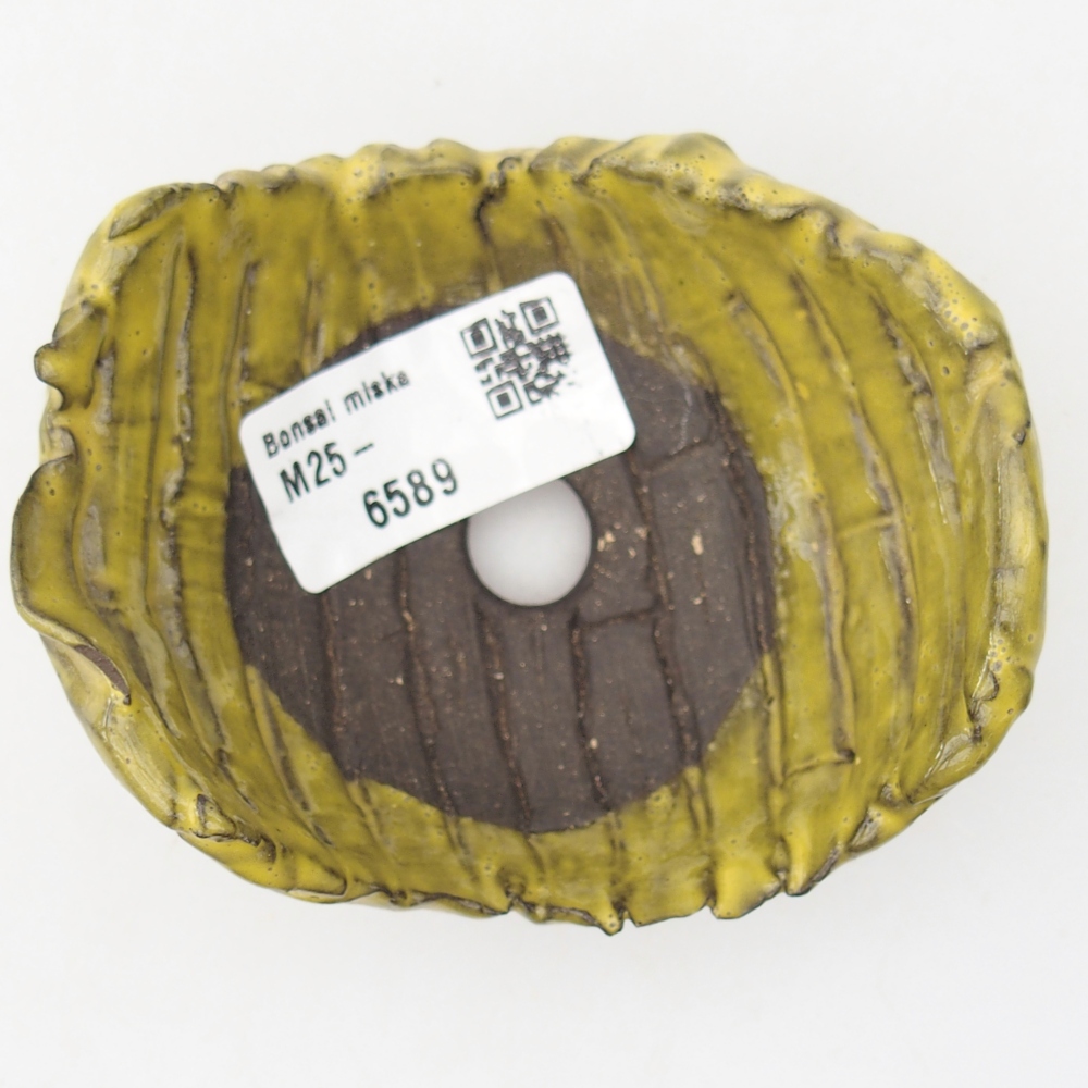 Conchiglia in ceramica 9 x 8 x 5 cm , giallo