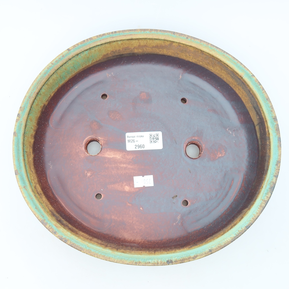 Vaso da bonsai in ceramica 27 x 24 x 5,5 cm, colore verde
