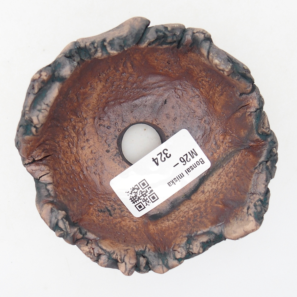 Conchiglia in ceramica 9 x 8,5 x 6 cm , colore verde