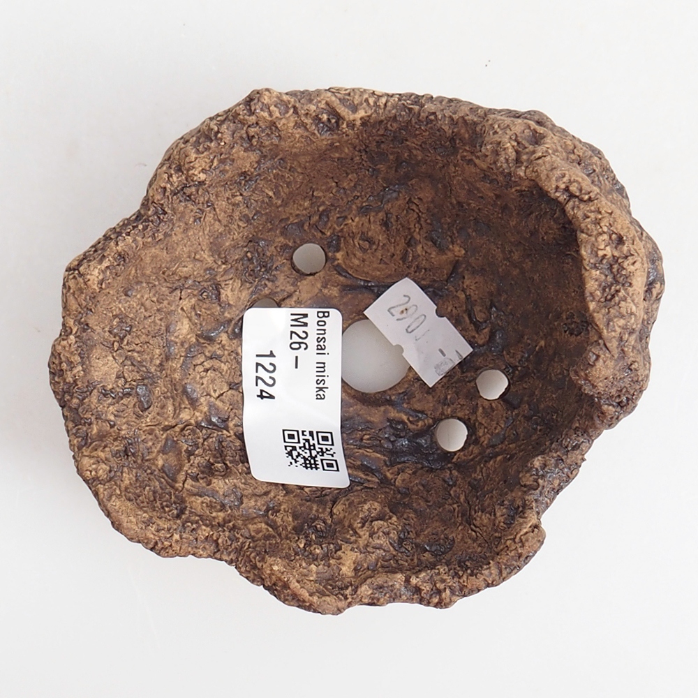 Conchiglia in ceramica 9,5 x 9 x 8,5 cm , colore marrone