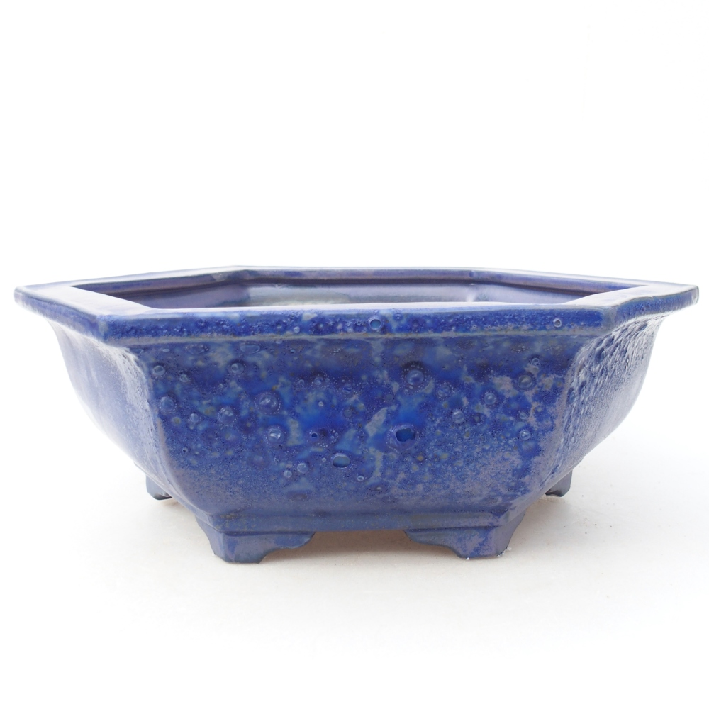 Ciotola bonsai in ceramica 28 x 24,5 x 9 cm, colore blu