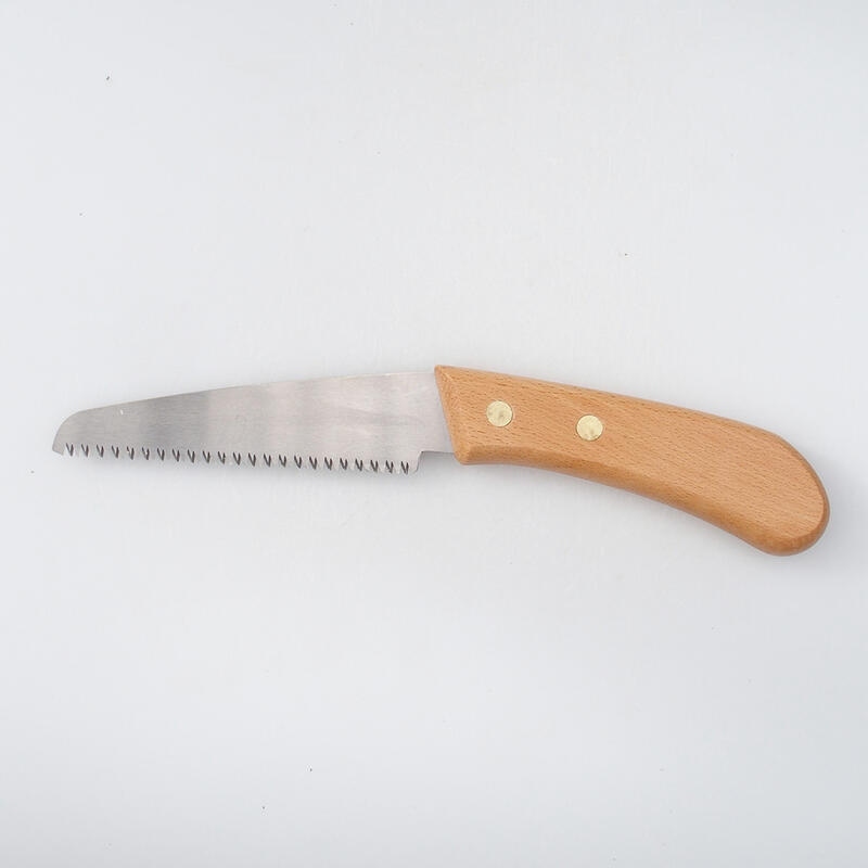 Lama per sega Giappone 25 cm