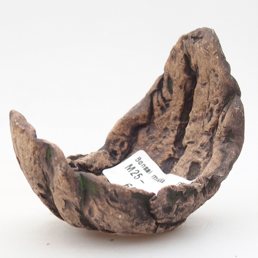 Conchiglia in ceramica 8 x 5,5 x 7 cm , colore verde