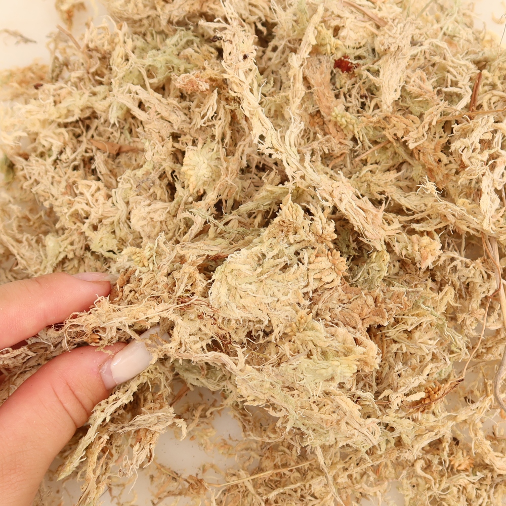 Sphagnum - torba 150 g