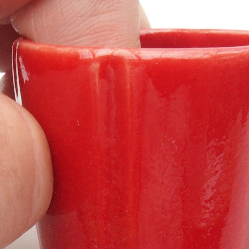 Mini bonsai 4 x 4 x 4 cm, colore rosso