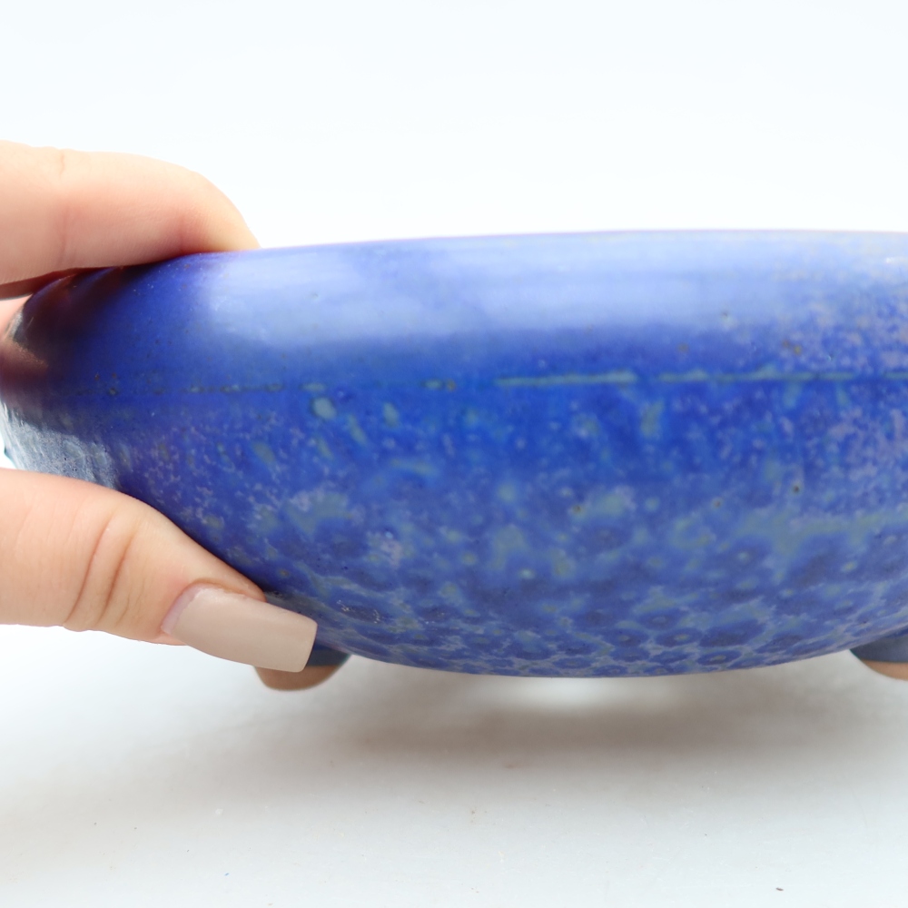 Vaso da bonsai in ceramica 20 x 20 x 7,5 cm, colore blu