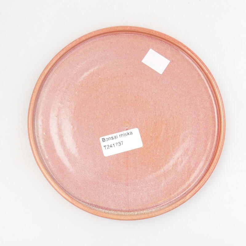 CIOTOLA BONSAI FILATA A MANO - 18 X 18 X 1,5 CM , COLORE ARANCIONE