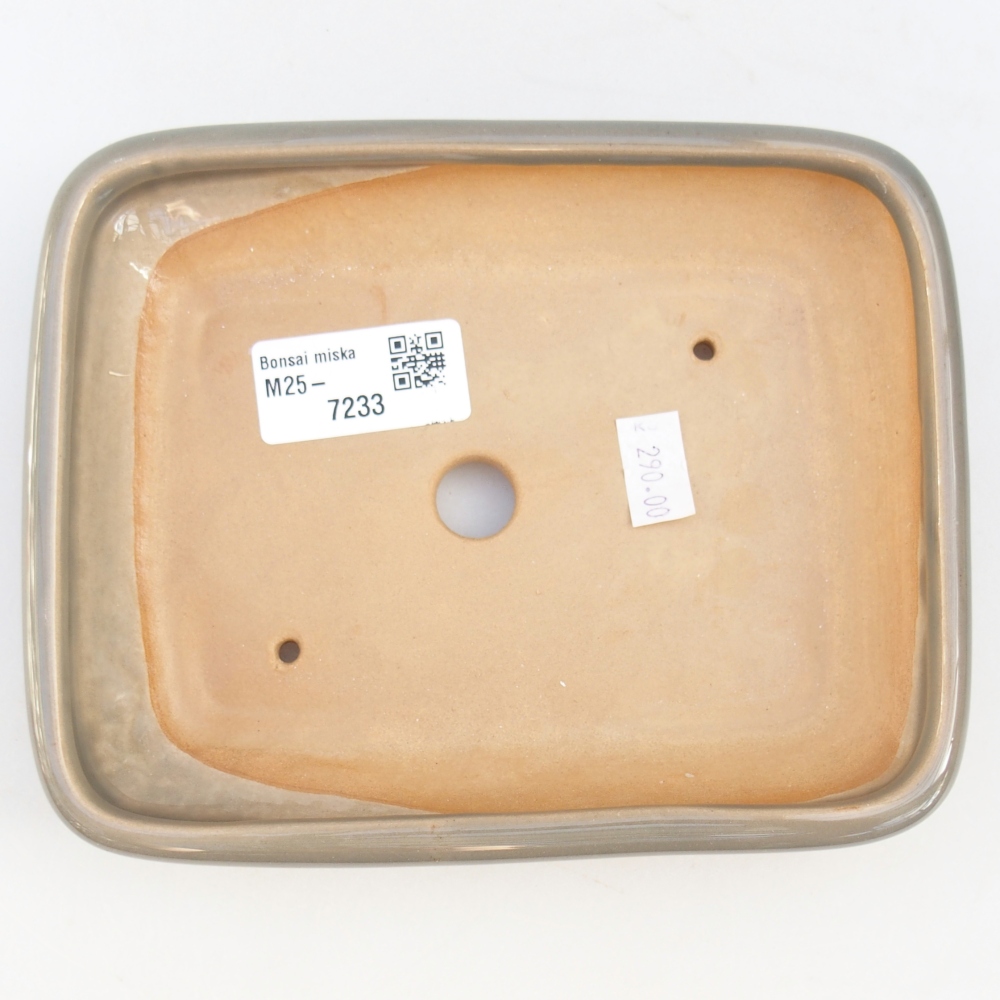 Ciotola bonsai in ceramica 26 x 26 x 8 cm, colore rosso