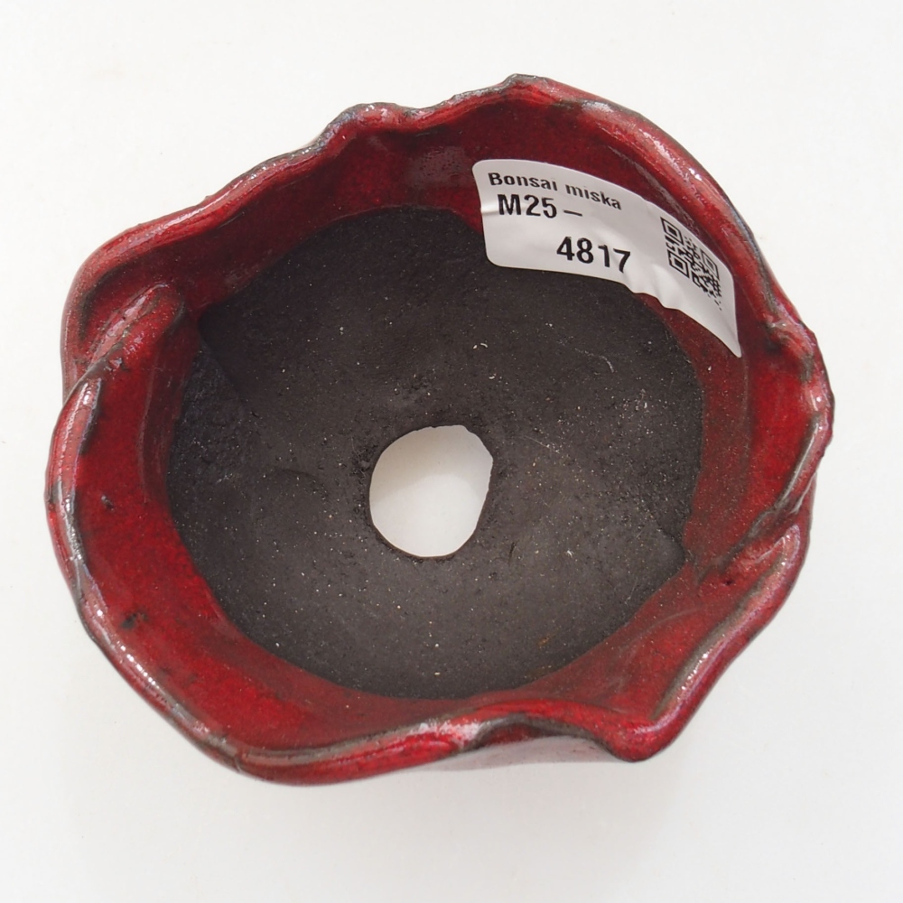 Conchiglia in ceramica 8 x 8 x 7 cm , colore rosso