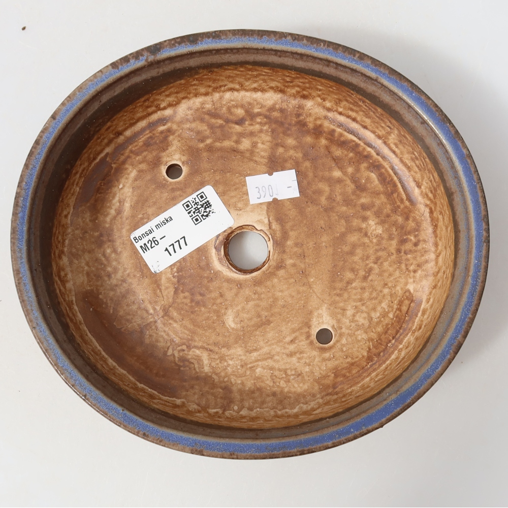 Vaso da bonsai in ceramica 18 x 16,5 x 4,5 cm, colore blu