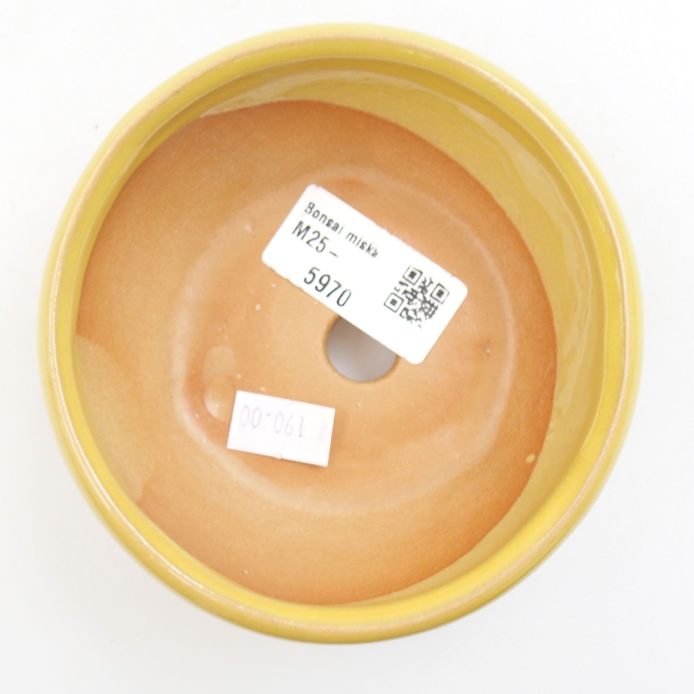 Ciotola bonsai in ceramica 22 x 17 x 5 cm, verde