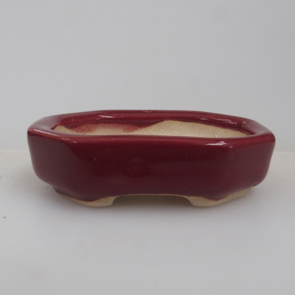 Mini bonsai 5,5 x 4 x 1,5 cm, colore bordeaux