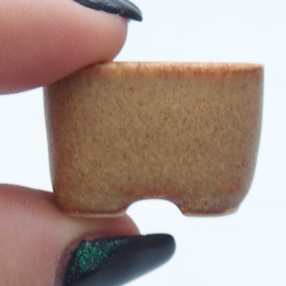 Mini bonsai 2,5 x 2,5 x 1,5 cm, marrone