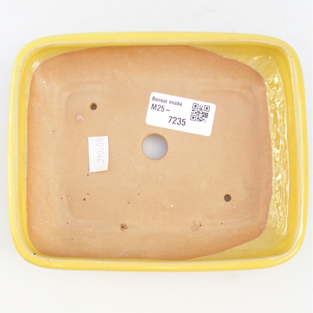 Ciotola bonsai in ceramica 26 x 26 x 8 cm, colore rosso