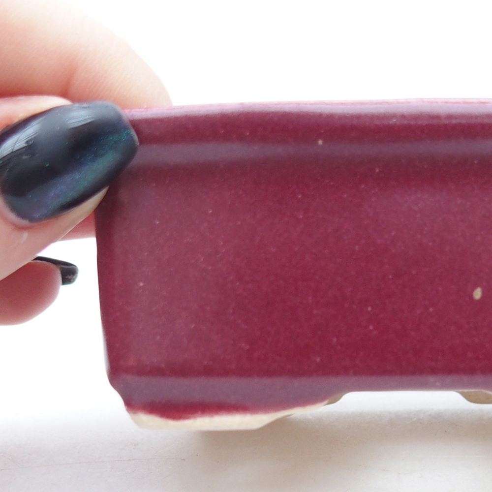 Ciotola per mini bonsai 8 x 6,5 x 3,5 cm, bordeaux