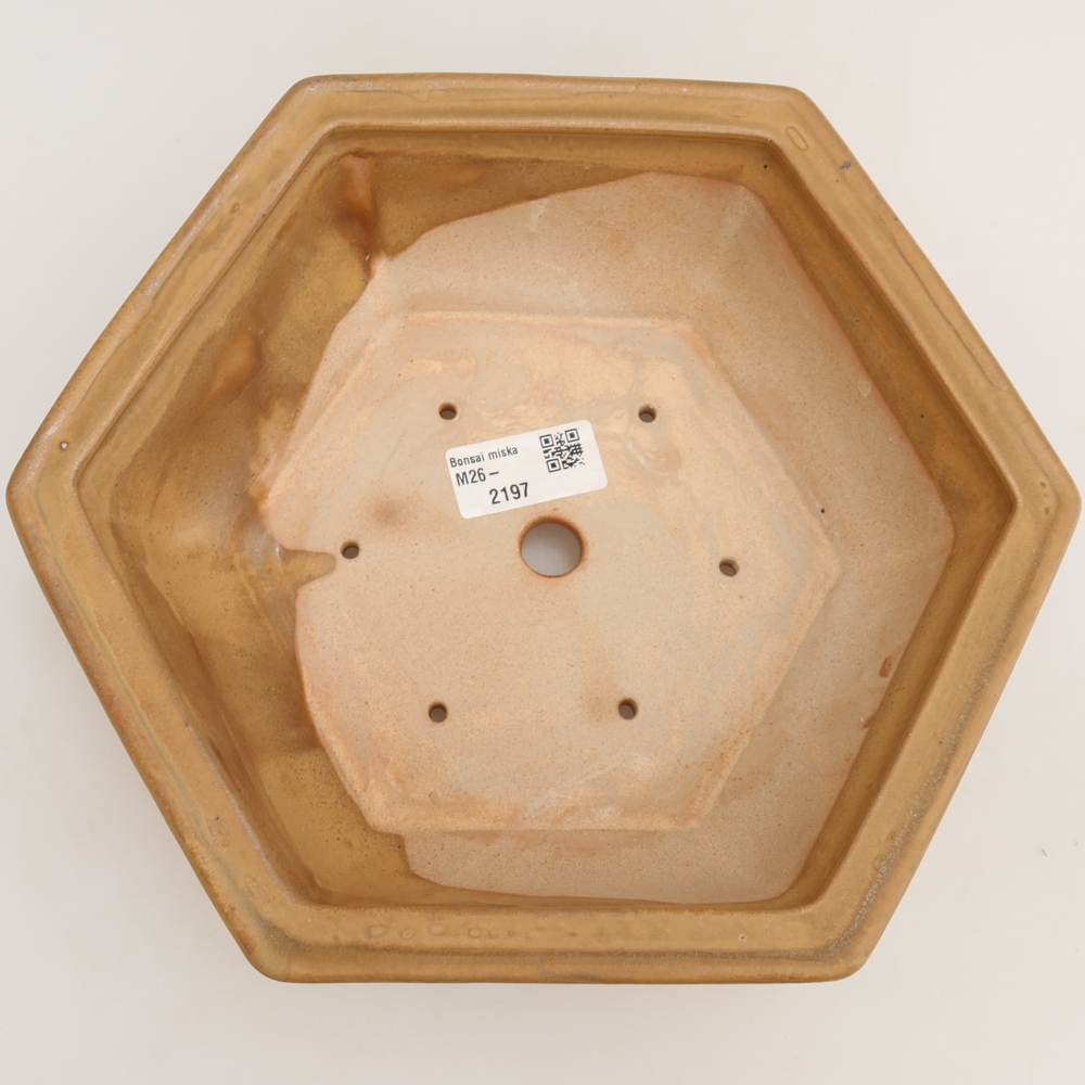 Vaso da bonsai in ceramica 24 x 21,5 x 7,5 cm, colore beige