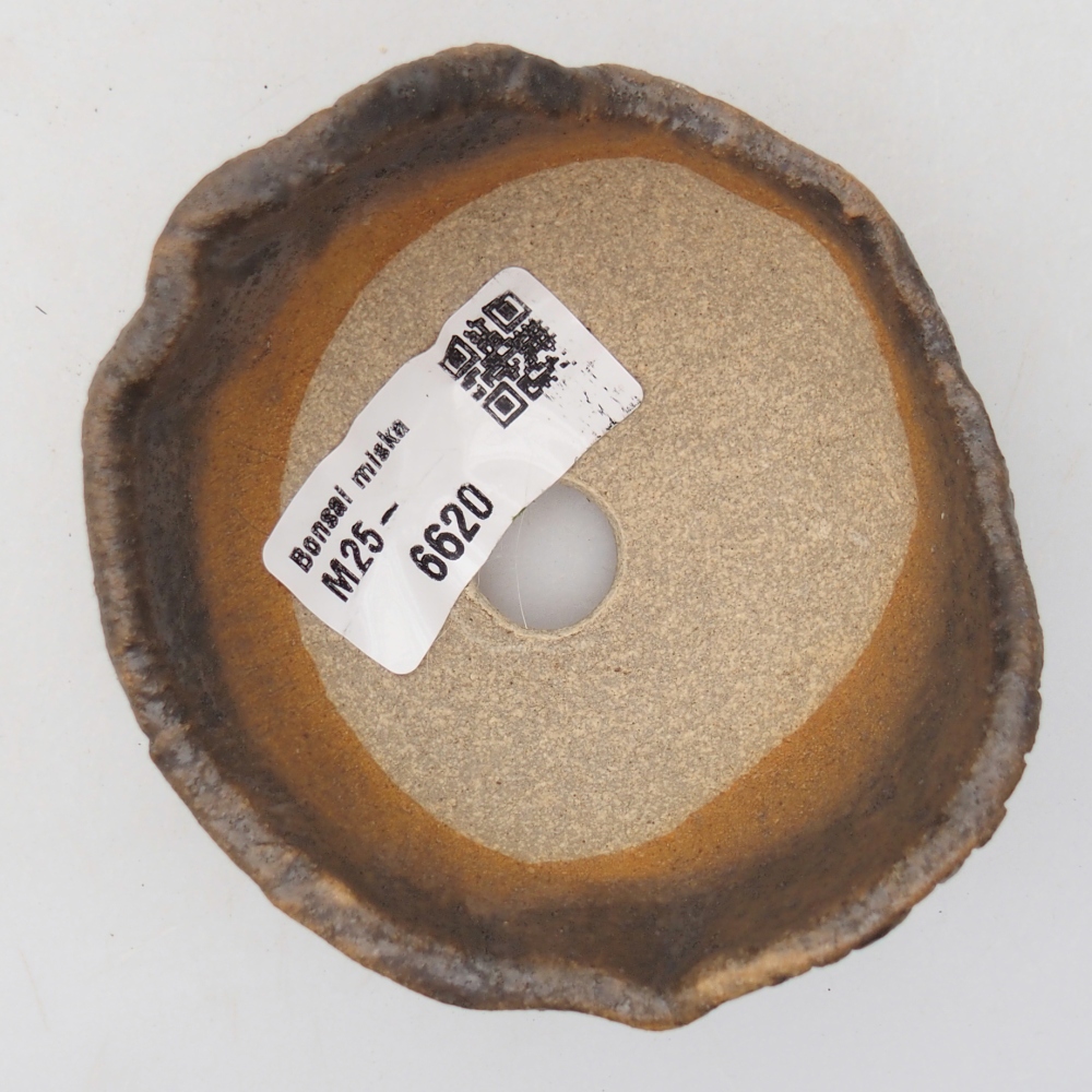 Conchiglia in ceramica 8,5 x 8,5 x 7 cm , colore marrone