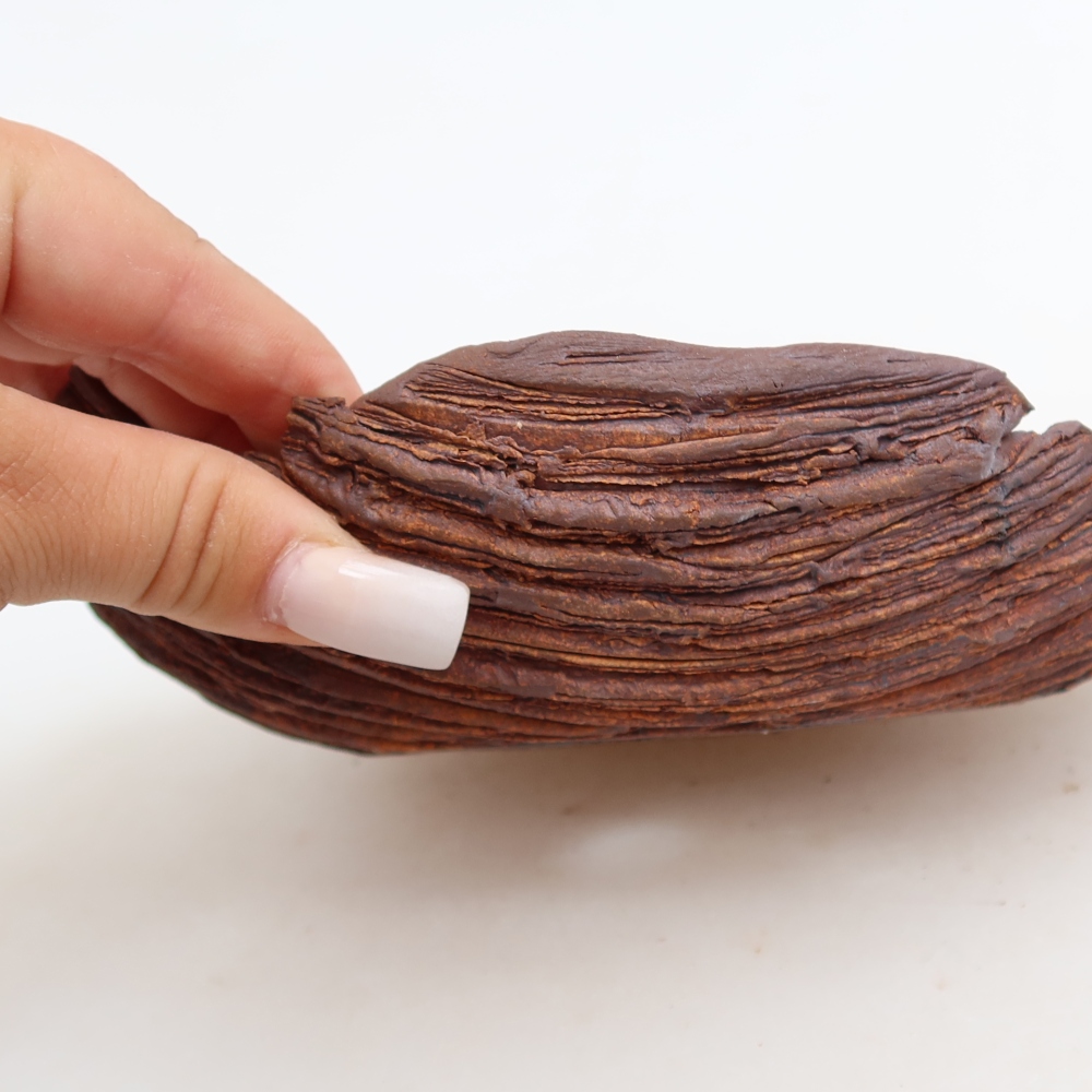 Conchiglia in ceramica  21 x 15 x 5,5 cm, colore marrone