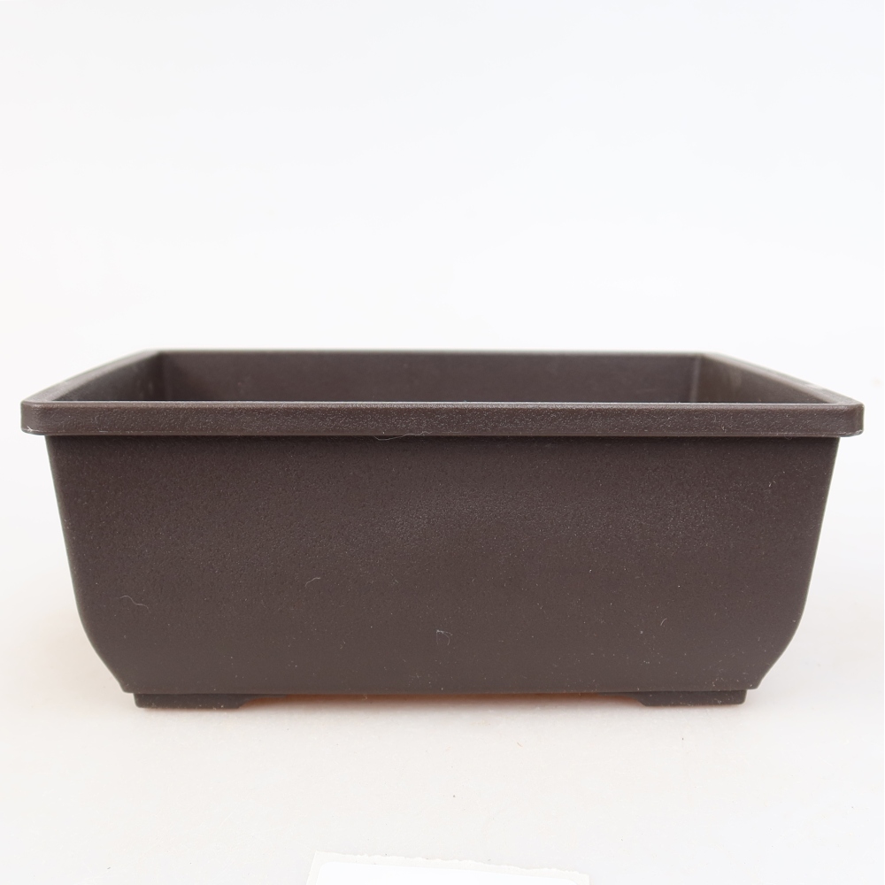 Vaso per bonsai in plastica MP-1 marrone - 15 x 11 x 6 cm