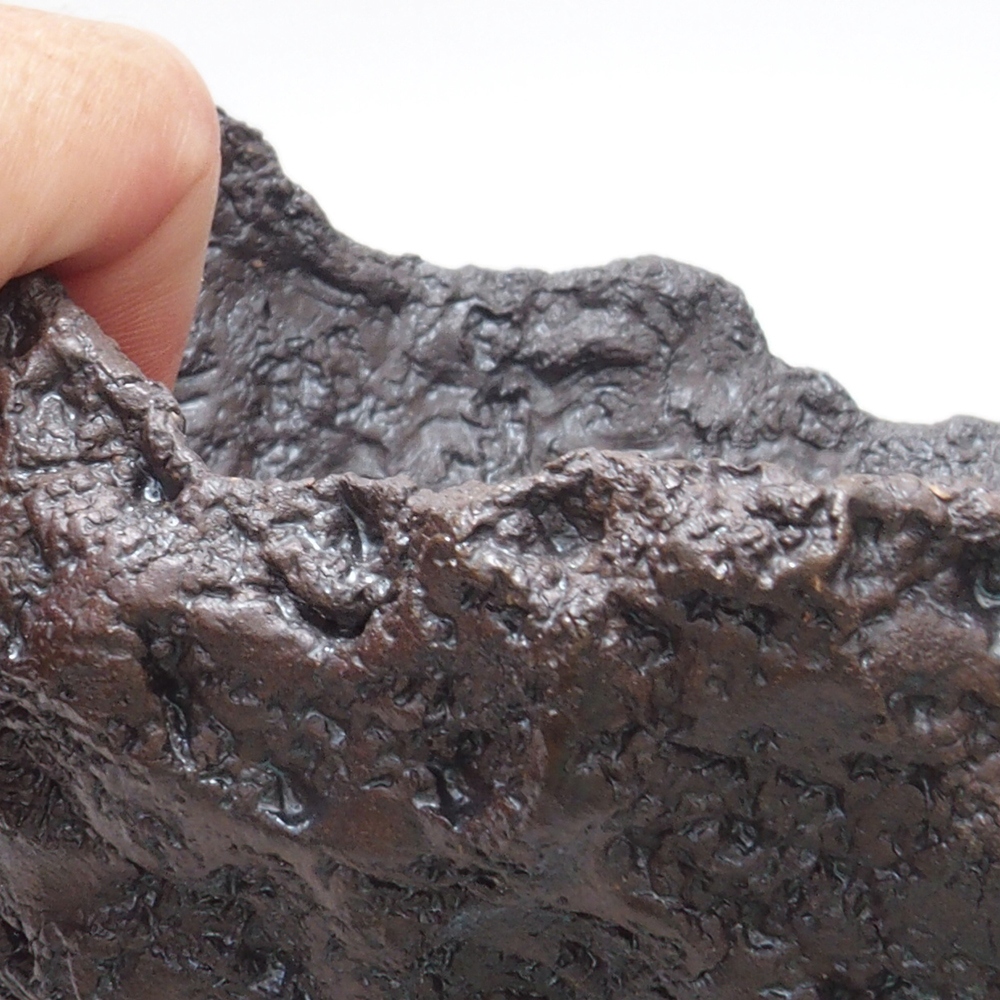 Conchiglia in ceramica 23 x 21 x 19,5 cm , colore marrone