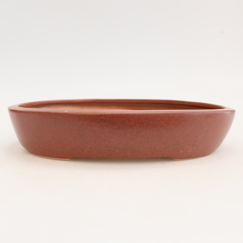 Vaso da bonsai in ceramica 22 x 17 x 4 cm, colore bordeaux
