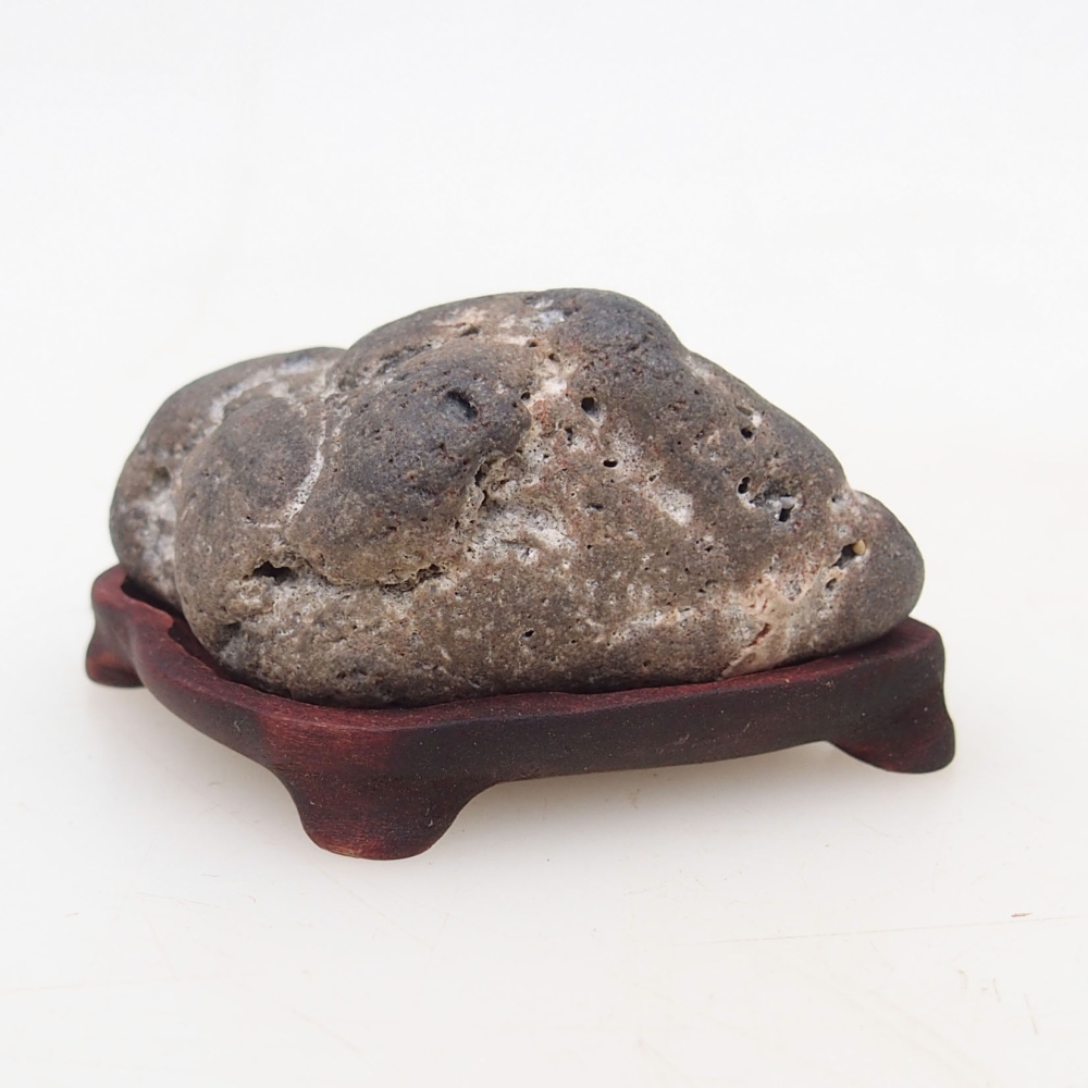 Suiseki - Pietra con DAI (base in legno)