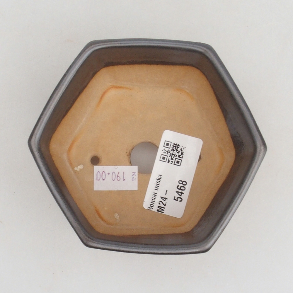 Ciotola bonsai in ceramica 9,5 x 9 x 4,5 cm, colore metallo