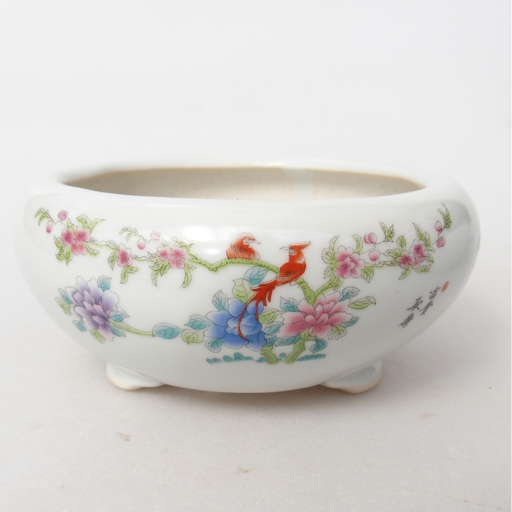 Ciotola per bonsai in ceramica 10 x 10 x 5 cm, colore bianco