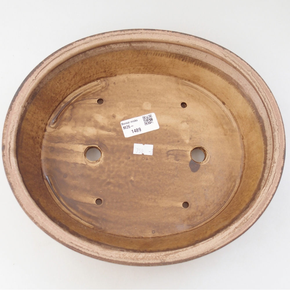 Ciotola per bonsai in ceramica 27 x 24 x 6 cm, colore beige