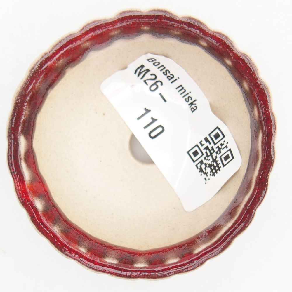 Mini bonsai 5,5 x 5,5 x 2,5 cm, colore rosso