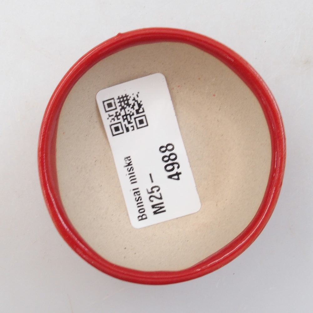 Mini bonsai 6 x 6 x 2,5 cm, colore rosso