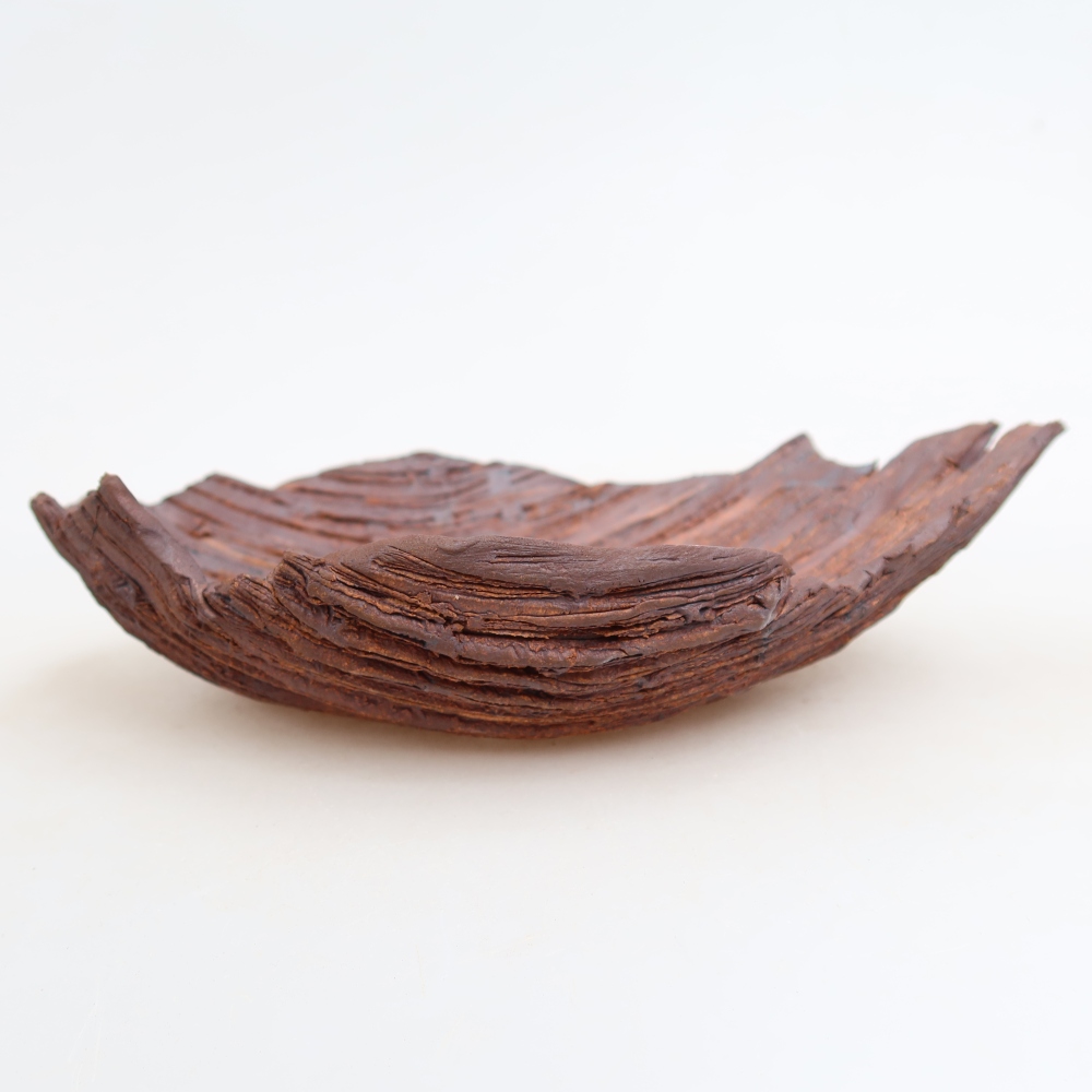 Conchiglia in ceramica  21 x 15 x 5,5 cm, colore marrone