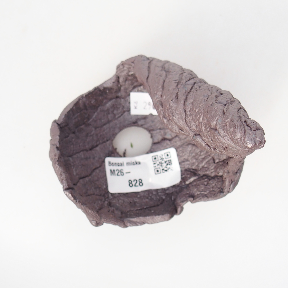 Conchiglia in ceramica 8 x 8 x 12 cm, colore metallizzato