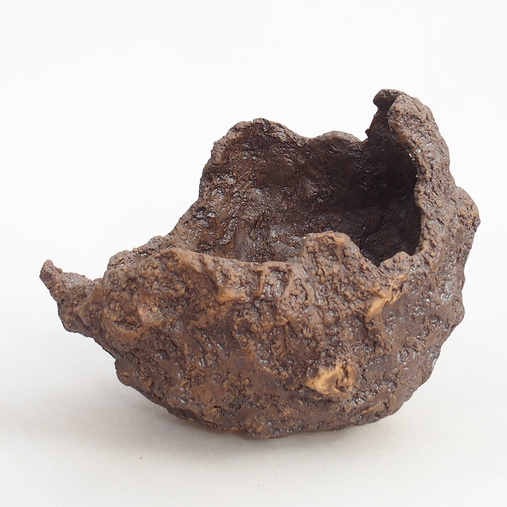 Conchiglia in ceramica 16 x 14 x 14 cm , colore marrone