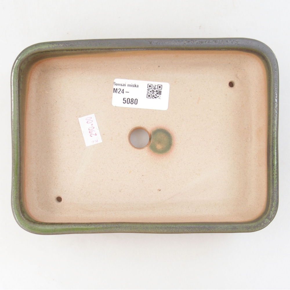 Ciotola per bonsai in ceramica 18 x 13,5 x 4 cm, verde