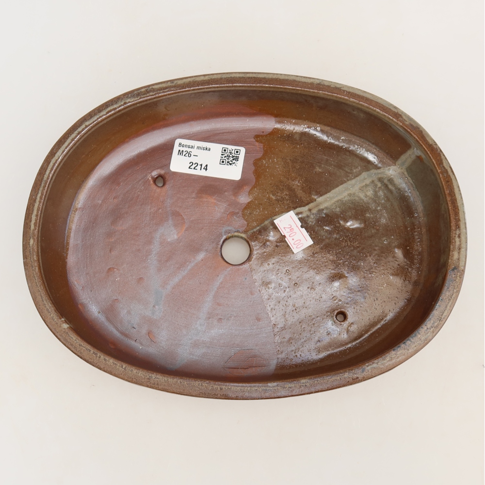 Ciotola per bonsai in ceramica 22 x 17 x 4 cm, marrone