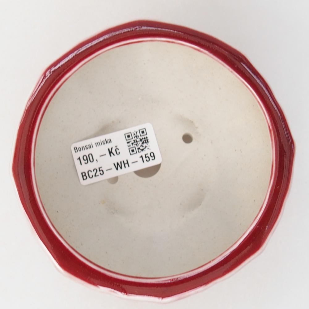 Ciotola per bonsai in ceramica 11 x 11 x 5,5 cm, colore rosso