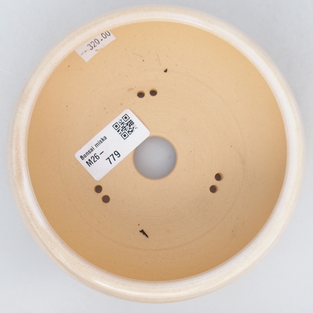 Ciotola bonsai in ceramica 14,5 x 14,5 x 5,5 cm, colore beige