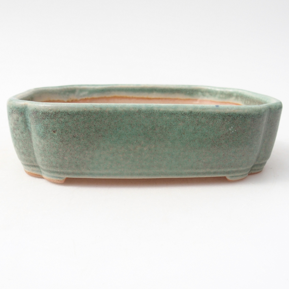 Ciotola per bonsai in ceramica 16 x 11,5 x 4 cm, verde