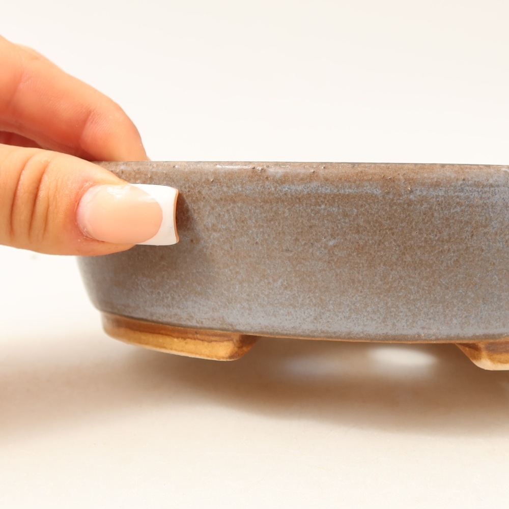 Vaso da bonsai in ceramica 15 x 14 x 4 cm, colore blu