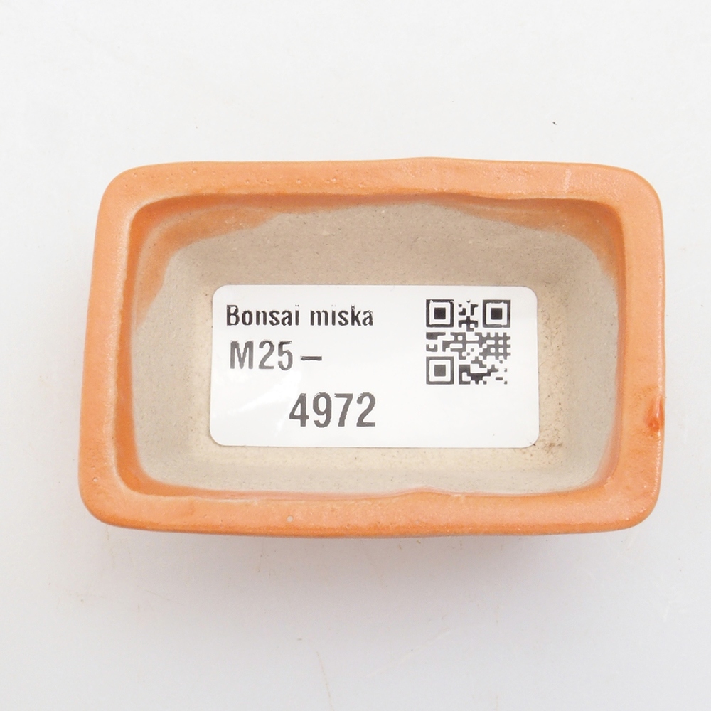 Ciotola per mini bonsai 6 x 4 x 2,5 cm, arancione