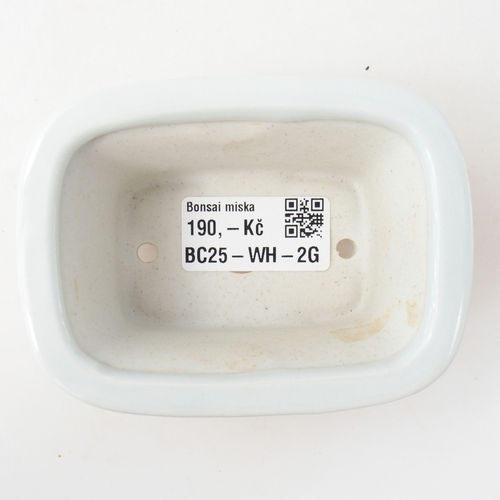 Mini bonsai 10 x 7,5 x 4 cm, colore bianco