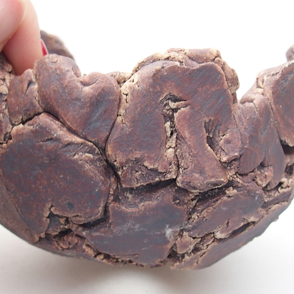 Conchiglia in ceramica 9 x 9 x 6 cm , colore marrone