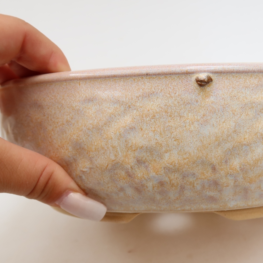 Vaso da bonsai in ceramica 22,5 x 22,5 x 7 cm, colore beige