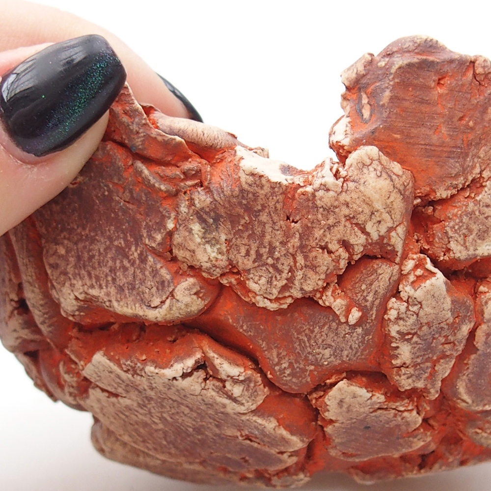 Conchiglia in ceramica 11 x 11 x 6 cm , colore arancione